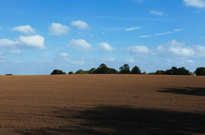 littlevisuals-grappik