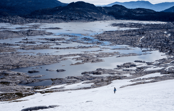 snapwiresnaps-grappik